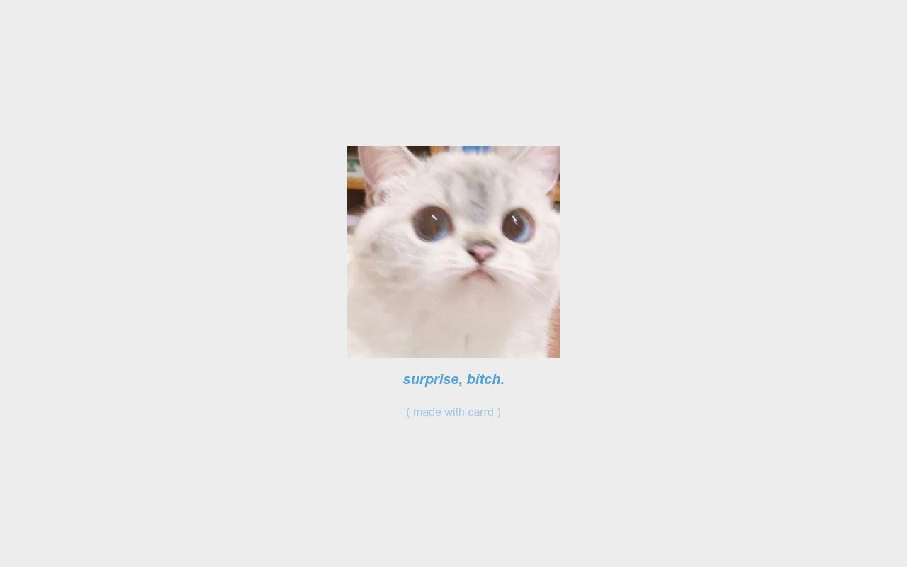 Carrd profile picture for @eine